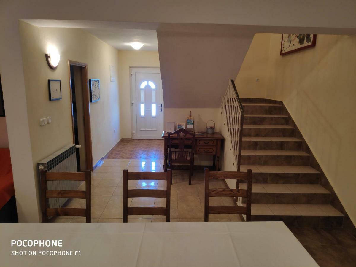 Villa Lisinski Zadar Extérieur photo